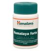 Himalaya Rumalaya Forte 60 Tablets EXP 08/24